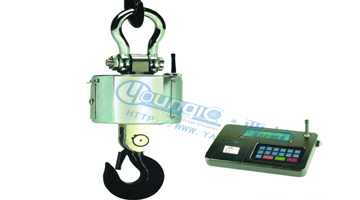 電子吊秤分類(lèi)及區(qū)別電子吊秤10t類(lèi)別有哪些